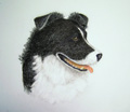Ross pastel