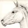 Chestnut Mare and Foal
