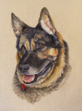 Hugo pastel