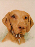 Molly pastel