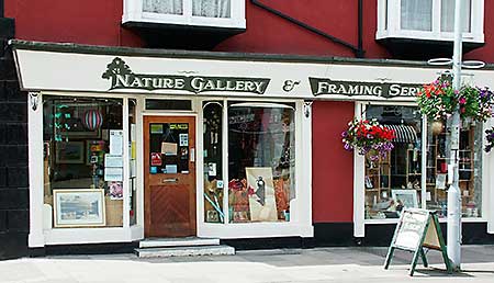 Welcome to Nature Gallery