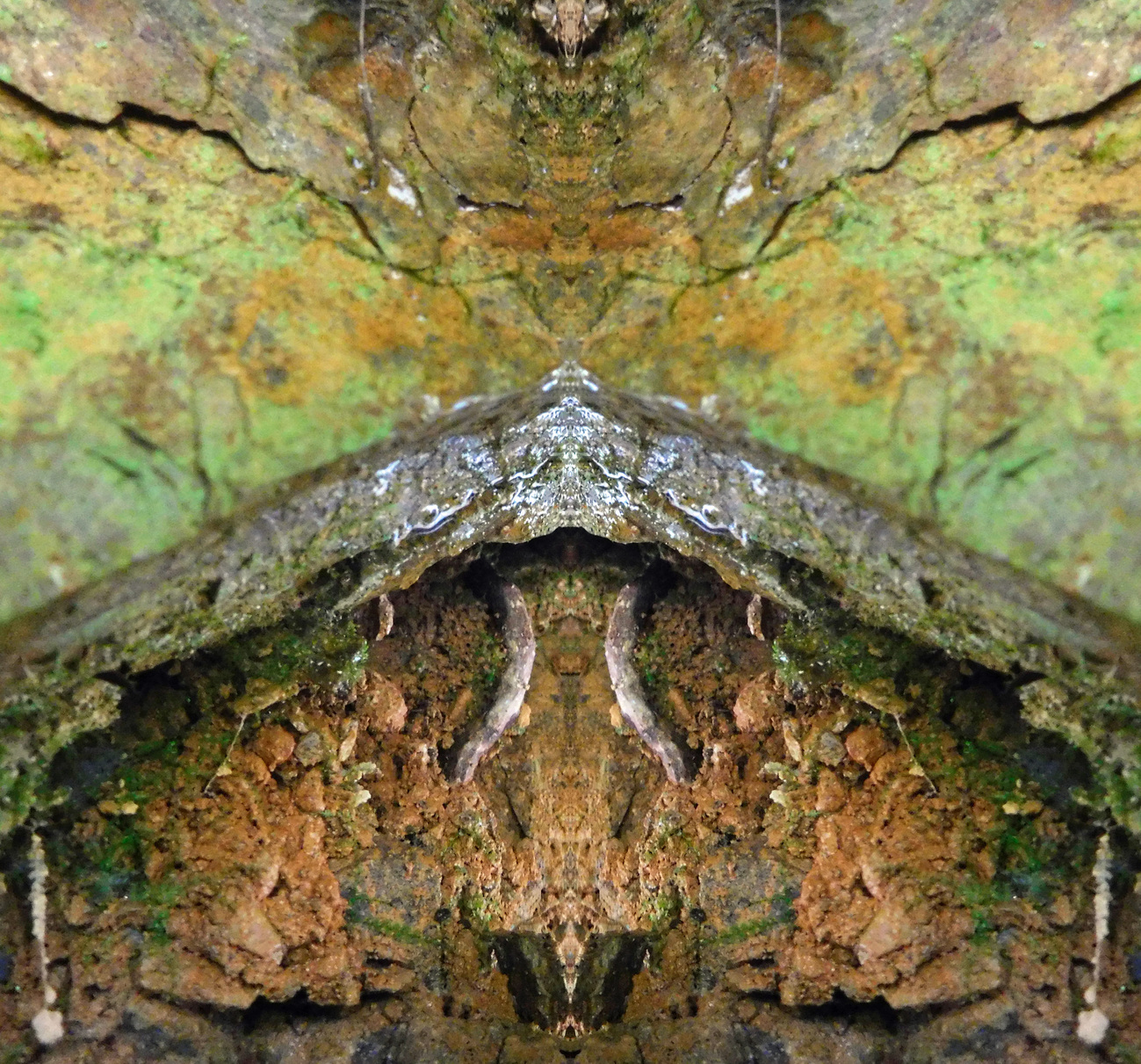 ANCIENTFIREPLACE1008