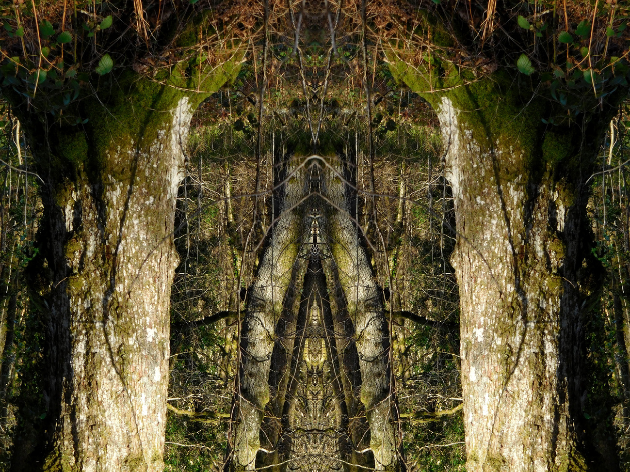 ANOTHERWORLD5886