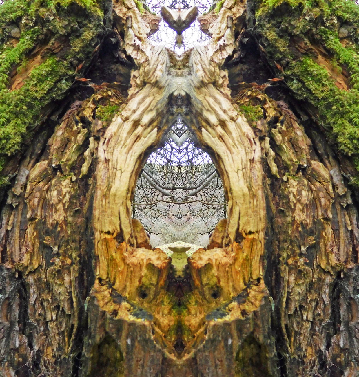 EAGLEWINDOW0314