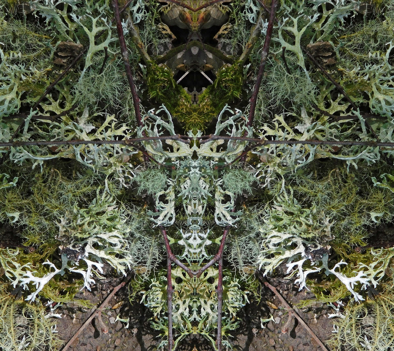LOSTINLICHEN8634