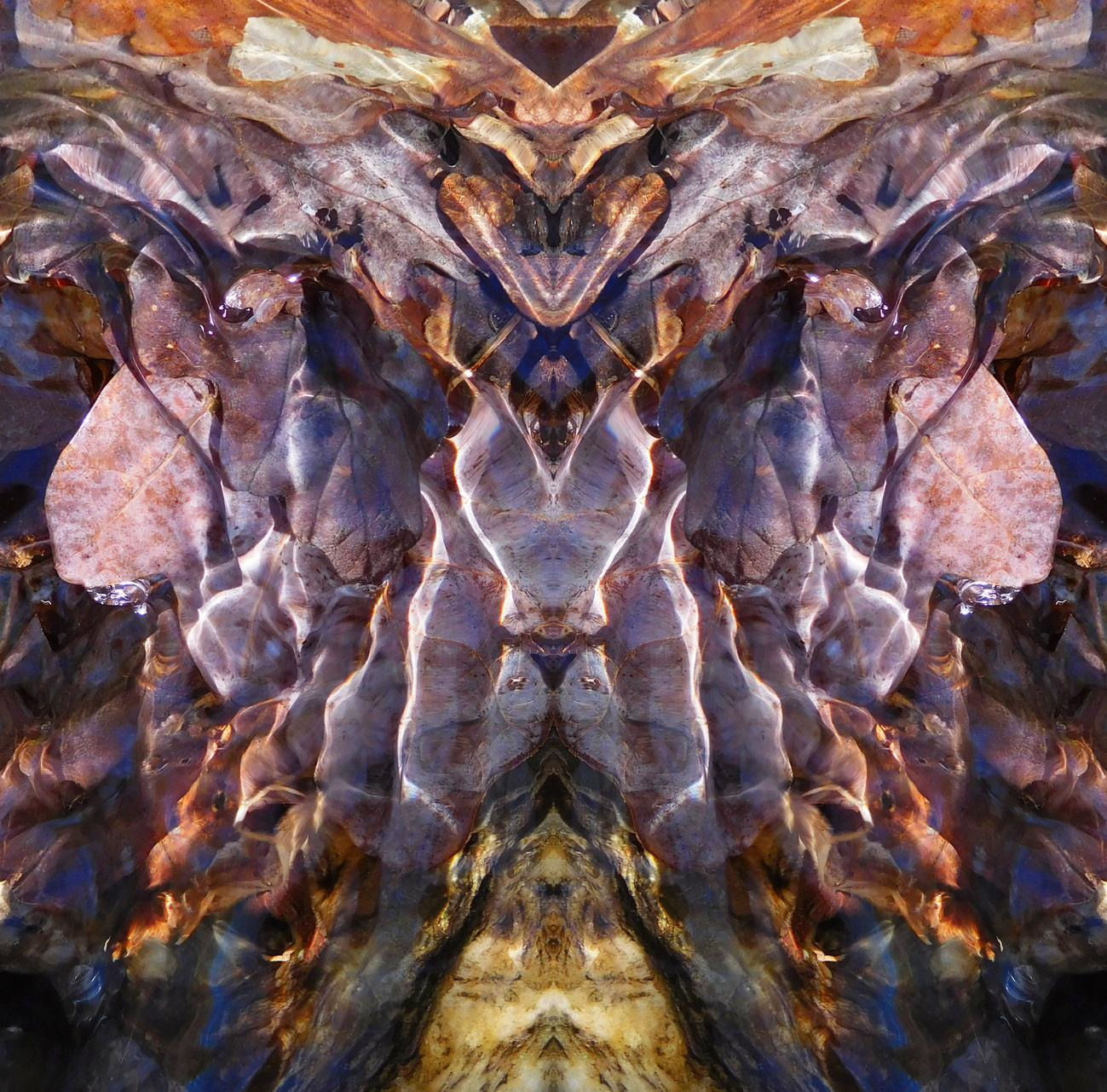MULTICOLOUREDBEAST1075