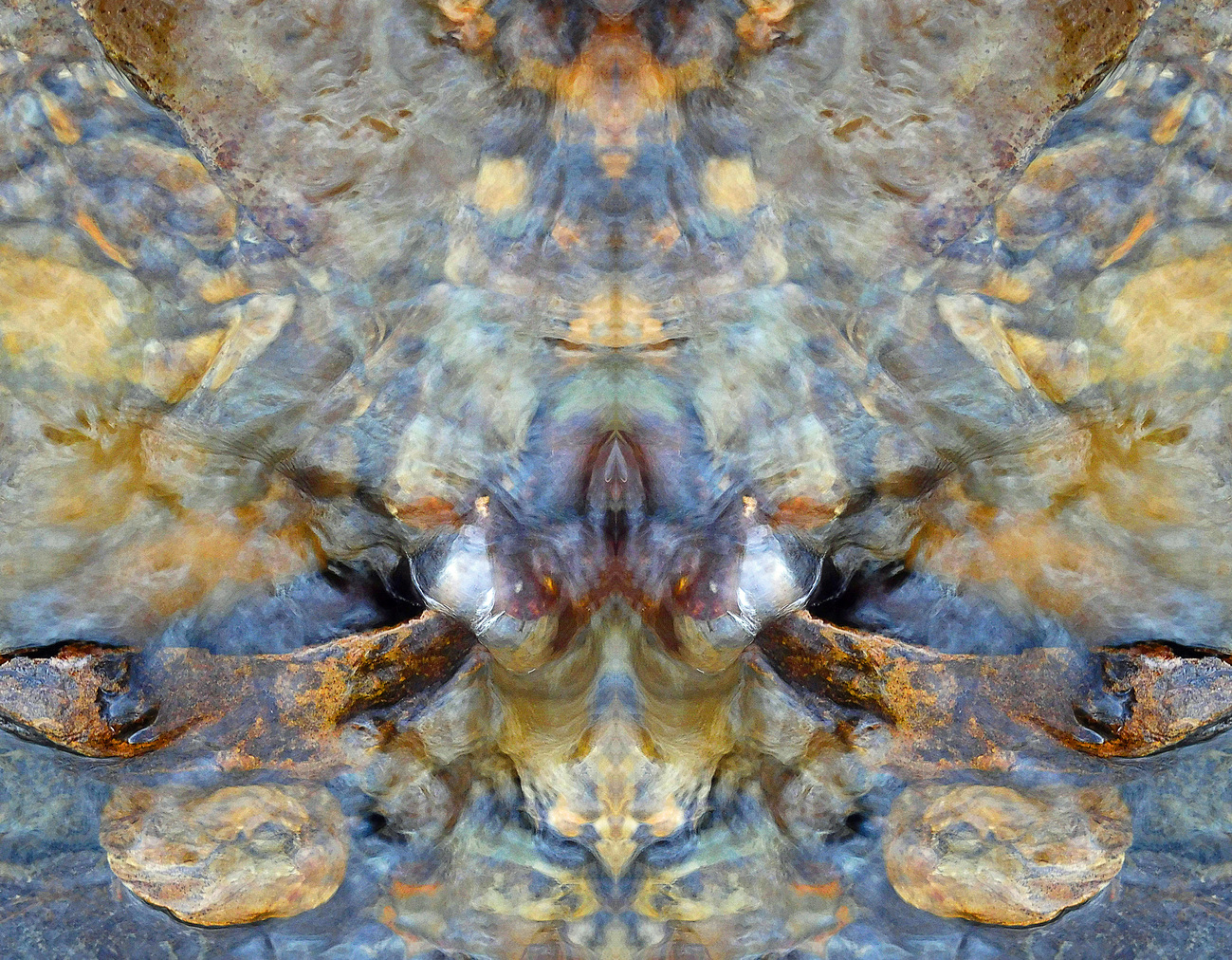 SEATURTLE9236