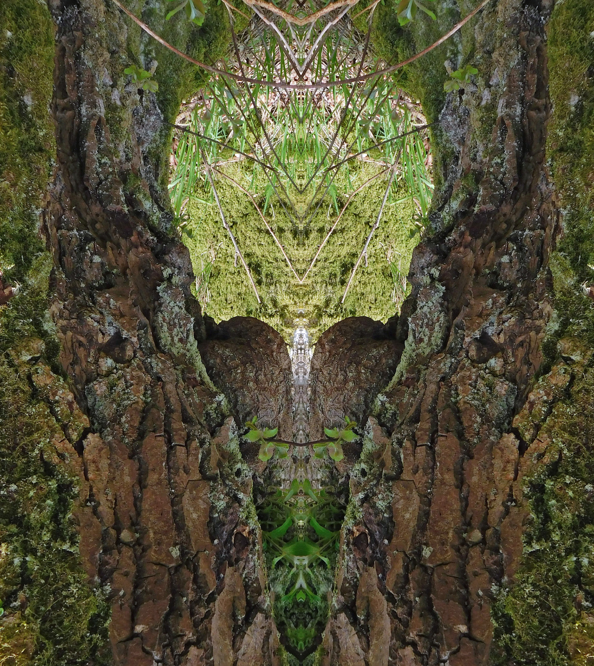 TREEBRAIN2261