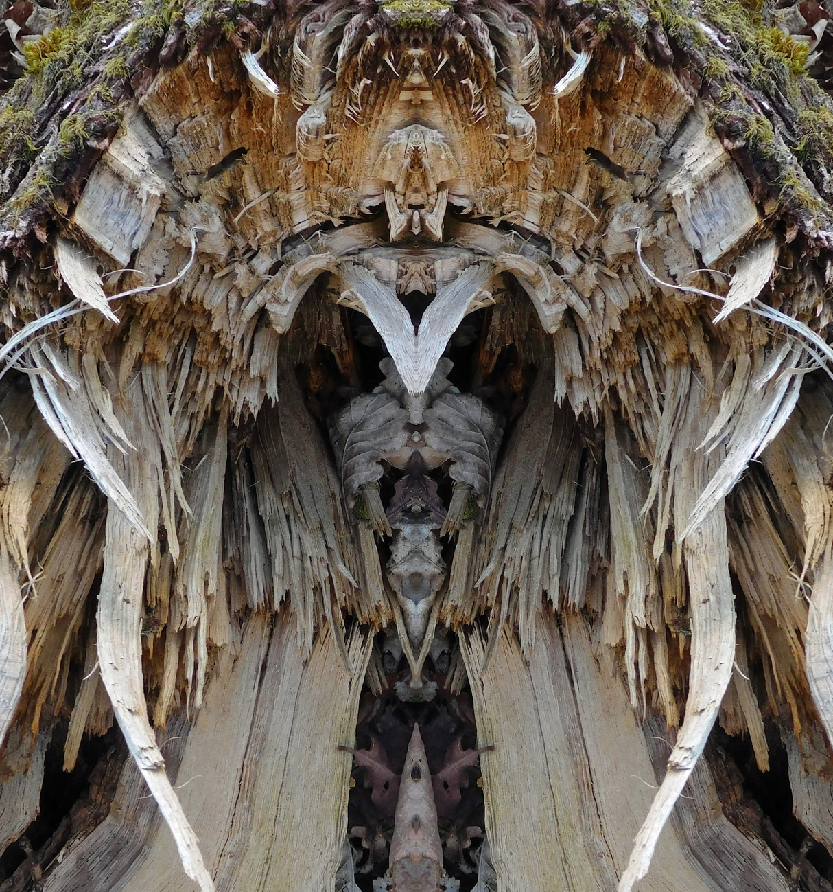 WALRUSPEOPLE0672