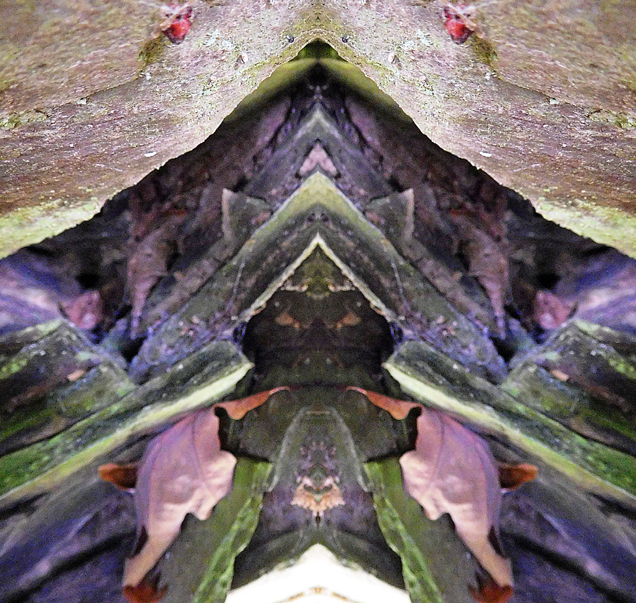 FLAMINGOARCH0208
