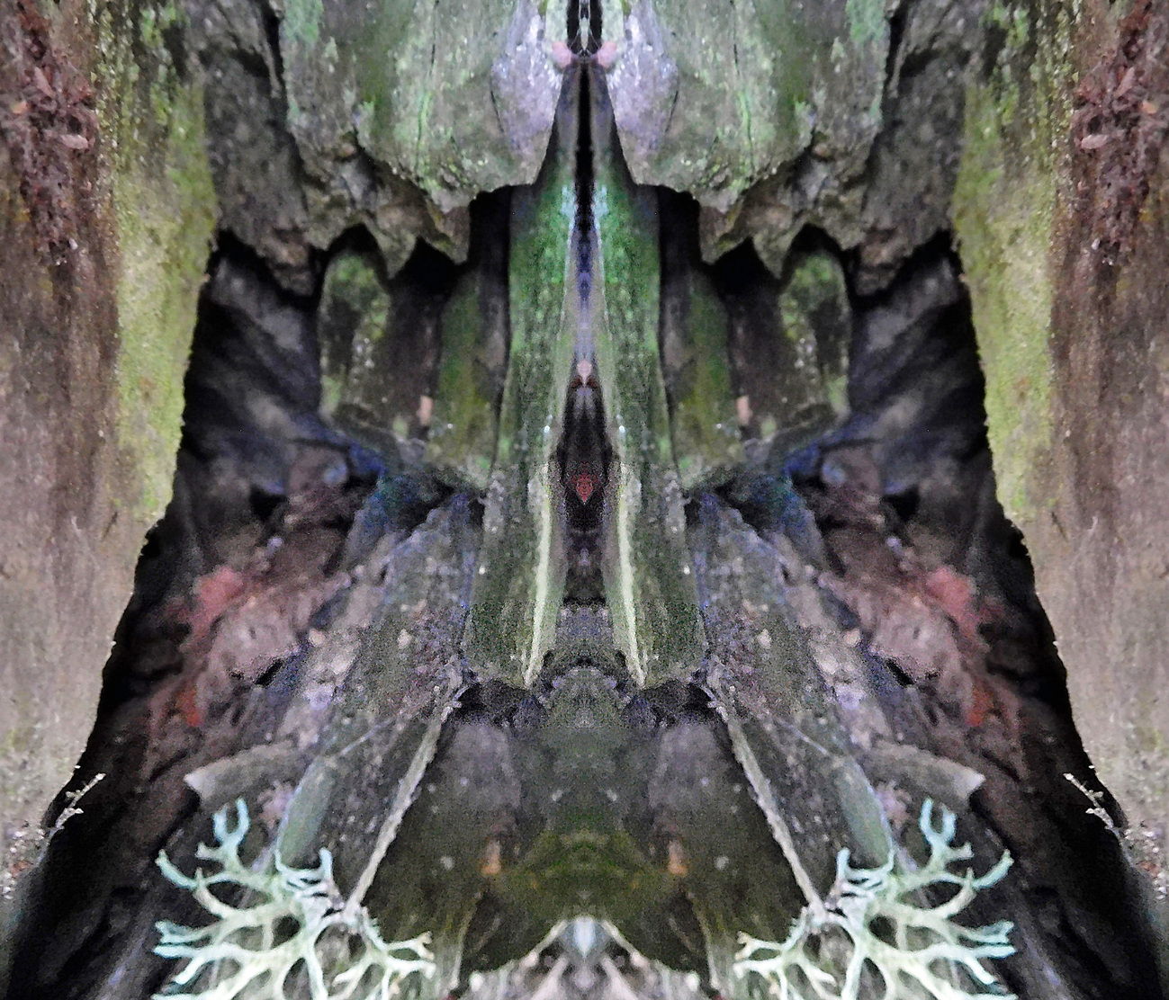 UNDERGROUNDLICHEN0844