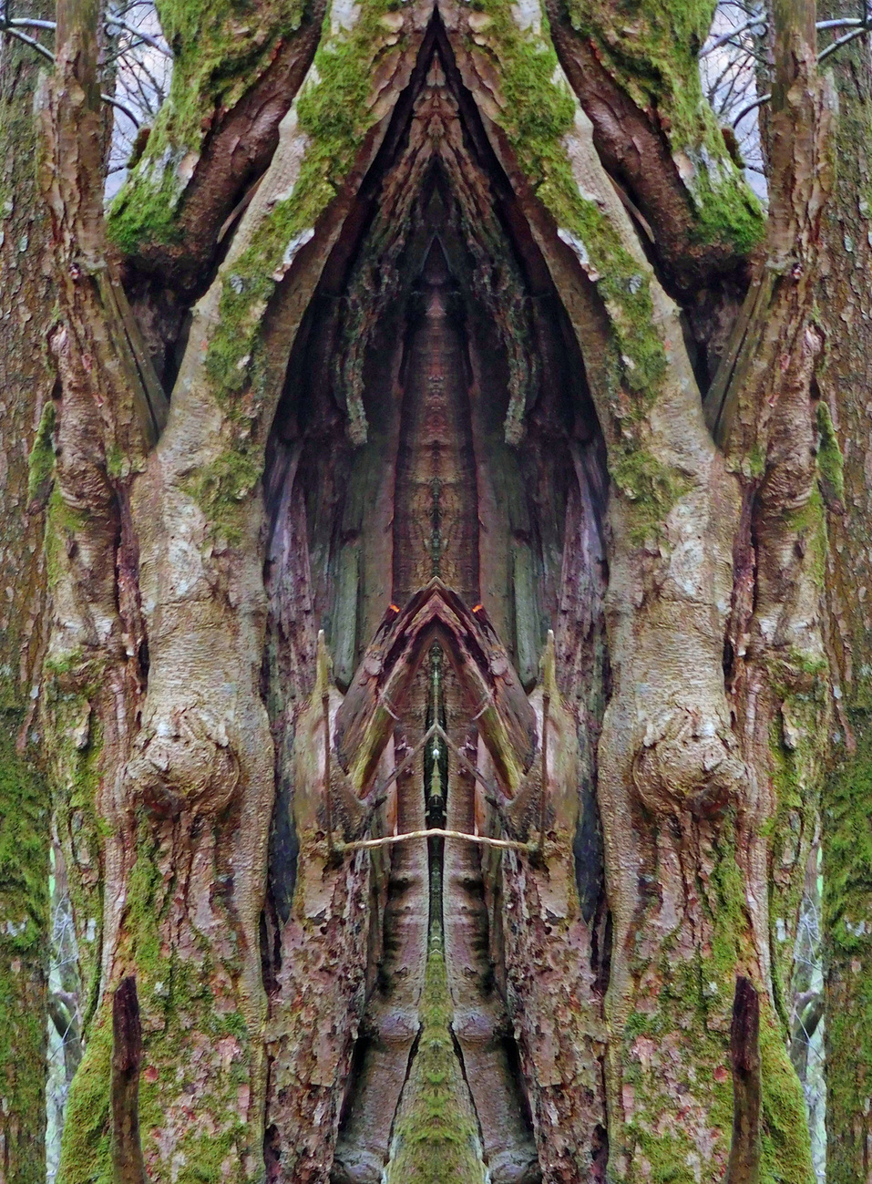 CATHEDRALCHAIR1226