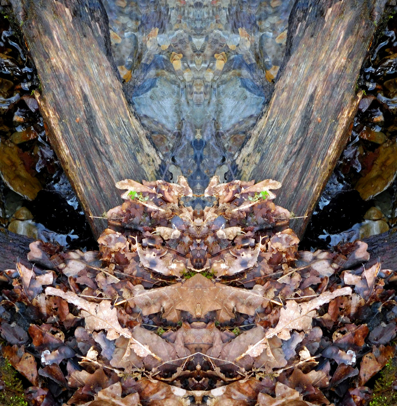LEAFMOSAIC1936